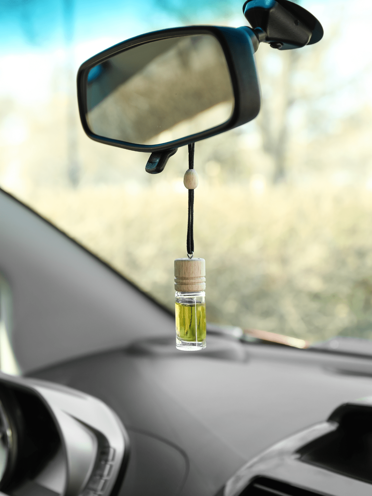 Car Diffuser Bottles
